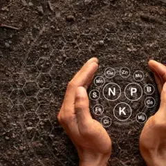Jakie gleby występują w Polsce? Odkryj ich tajemnice i znaczenie