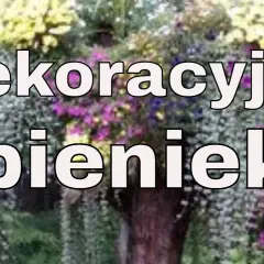 Jak wykorzystać stary pień w ogrodzie: 10 kreatywnych pomysłów na aranżację