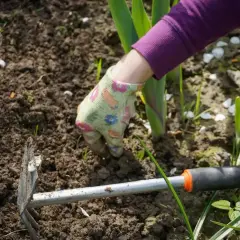 Ręka w rękawiczce usuwa uciążliwe chwasty rozłogowe z ziemi. Obok leży motyczka.