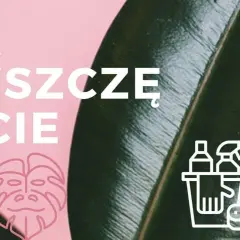Czym myć liście kwiatów, aby uniknąć ich uszkodzenia i brudu?