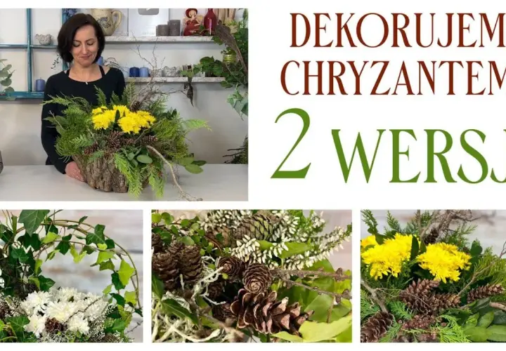 Jak udekorować chryzantemę w doniczce, by zachwycała każdego dnia