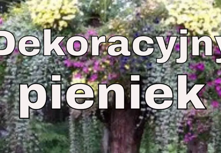 Jak wykorzystać stary pień w ogrodzie: 10 kreatywnych pomysłów na aranżację