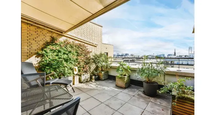 Jakie rośliny do dużych donic na taras? Stwórz piękne aranżacje