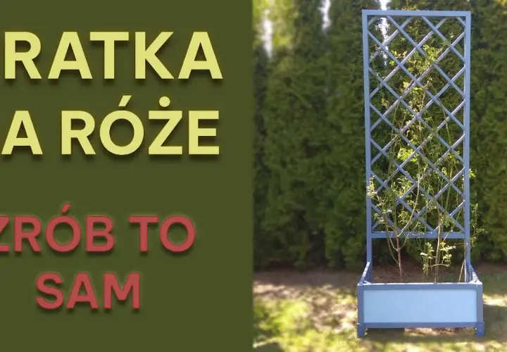 Jak zrobić pergolę na róże – krok po kroku, aby uniknąć błędów
