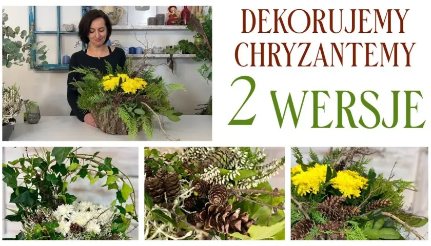 Jak udekorować chryzantemę w doniczce, by zachwycała każdego dnia