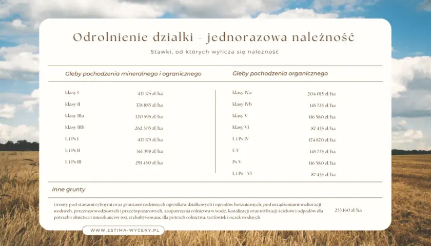 Co to jest odrolnienie gruntów i jak uniknąć zbędnych kosztów?