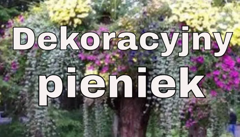 Jak wykorzystać stary pień w ogrodzie: 10 kreatywnych pomysłów na aranżację
