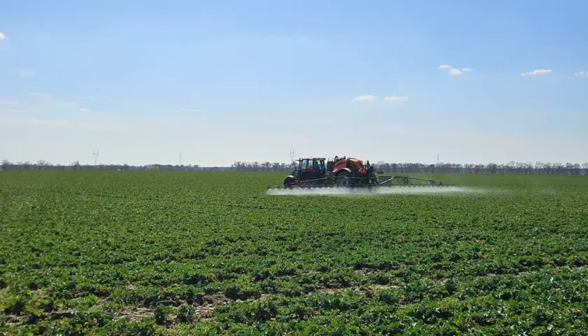 Traktor opryskuje pole zielonych roślin. To ważny etap, by zrozumieć, czym jest karencja i kiedy można spożywać plony.