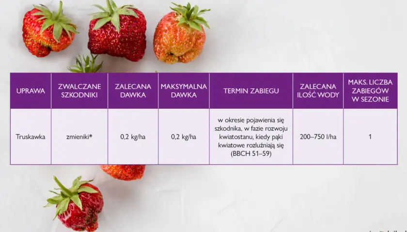 Oprysk na truskawki przeciw zmienikom: zalecana dawka 0,2 kg/ha, termin zabiegu w fazie rozwoju kwiatostanu.