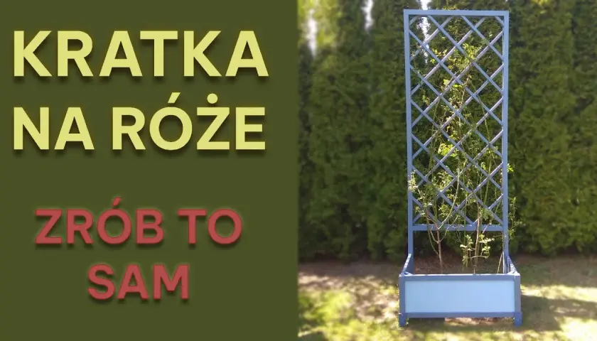 Jak zrobić pergolę na róże – krok po kroku, aby uniknąć błędów