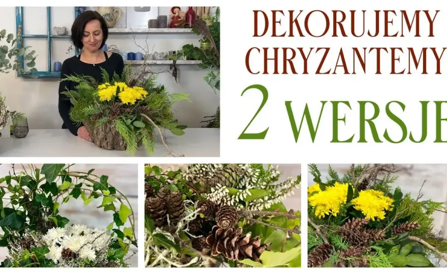 Jak udekorować chryzantemę w doniczce, by zachwycała każdego dnia