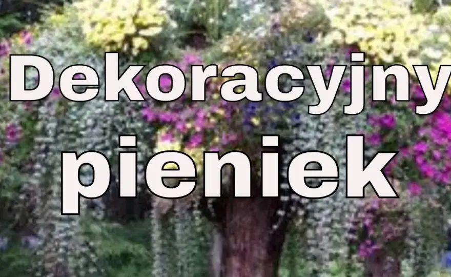 Jak wykorzystać stary pień w ogrodzie: 10 kreatywnych pomysłów na aranżację