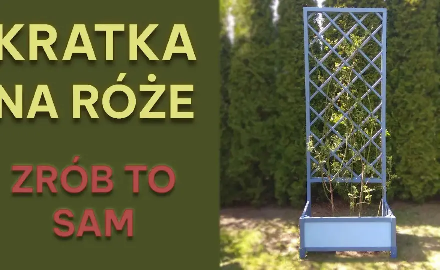 Jak zrobić pergolę na róże – krok po kroku, aby uniknąć błędów