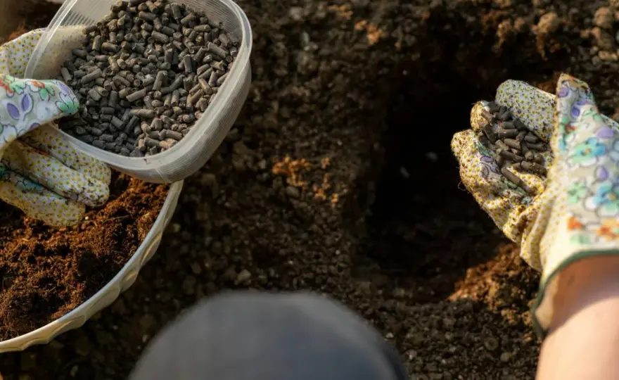Organiczne nawożenie ogrodu - kompost, obornik i biohumus