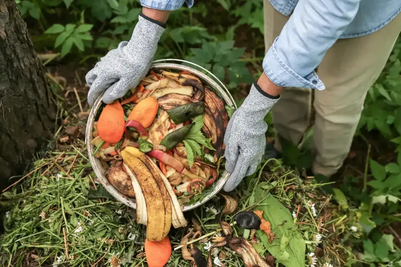 Ręce w rękawiczkach dodają resztki warzyw i owoców, w tym skórki z banana, do kompostownika. Powstaje naturalny nawóz.