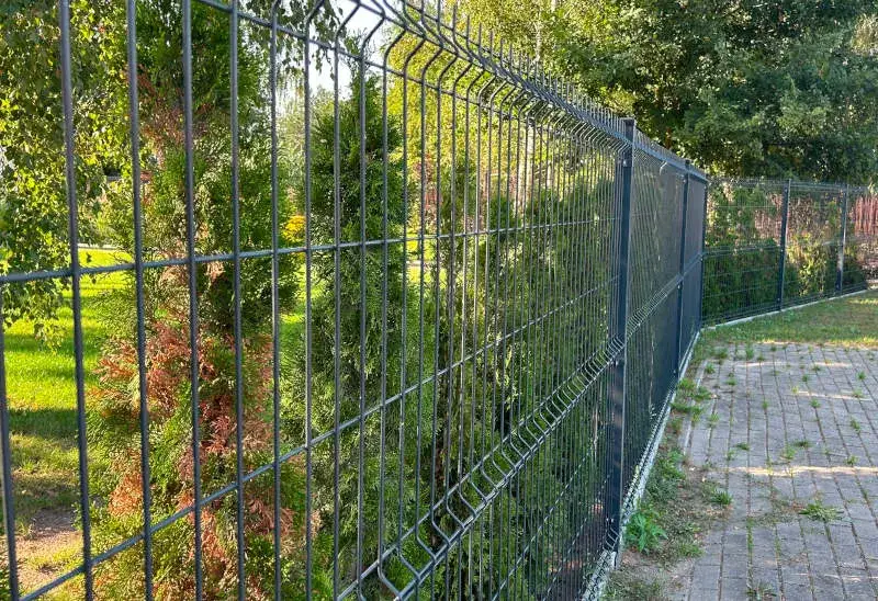 Zdjęcie Co posadzić przy ogrodzeniu, aby zyskać piękny i prywatny ogród?